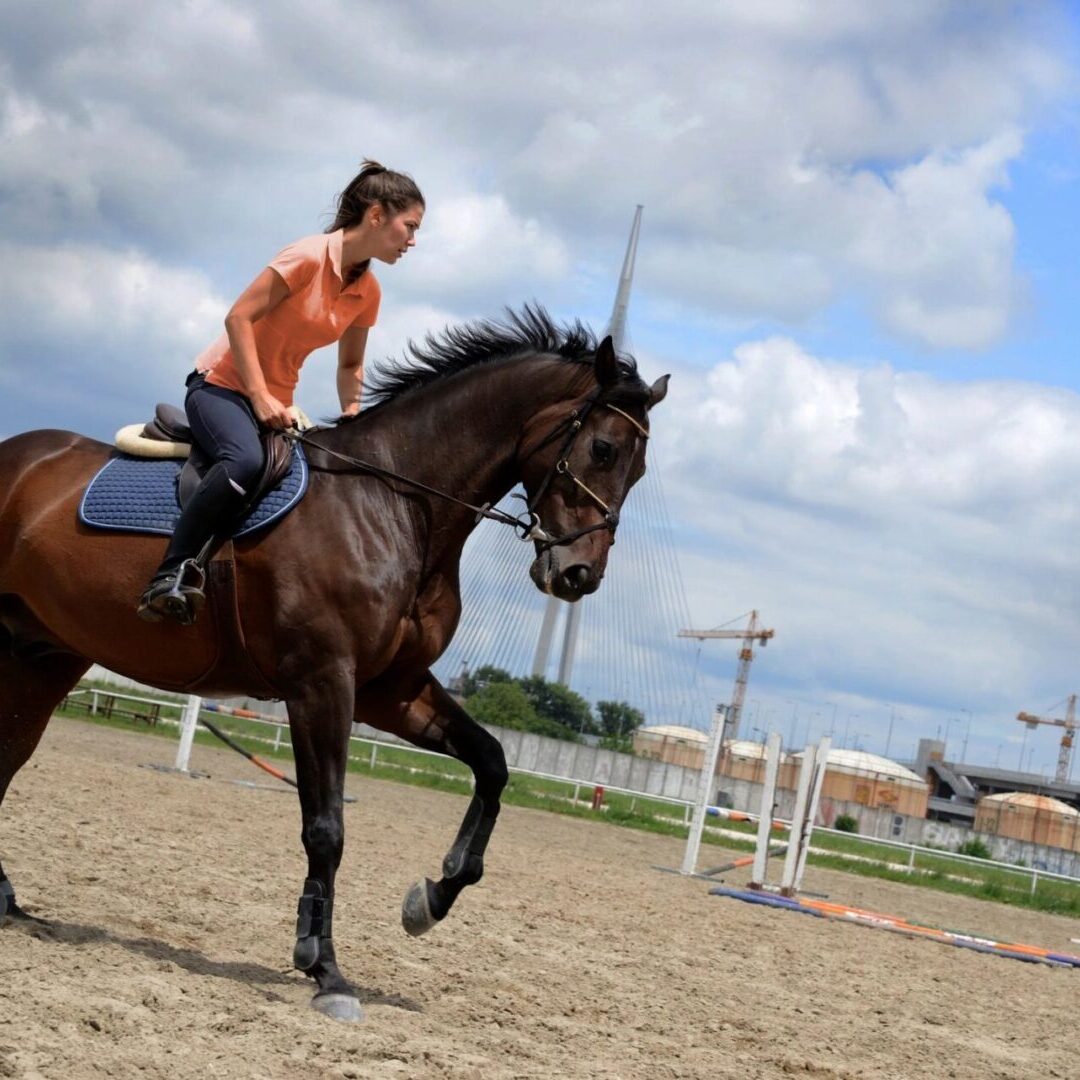 Woman riding brown horse in outdoor arena